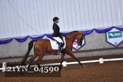 21YN_04590 thumbnail