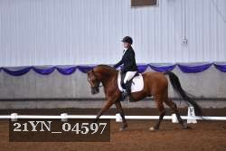 21YN_04597 thumbnail