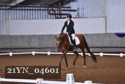 21YN_04601 thumbnail