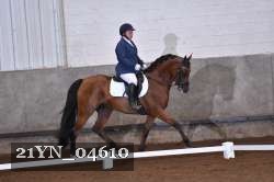 21YN_04610 thumbnail