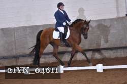 21YN_04611 thumbnail
