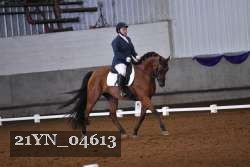 21YN_04613 thumbnail
