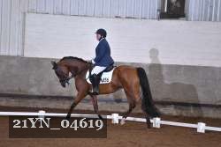 21YN_04619 thumbnail