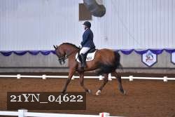 21YN_04622 thumbnail