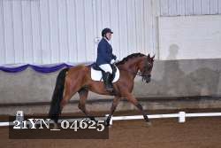 21YN_04625 thumbnail