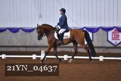 21YN_04637 thumbnail