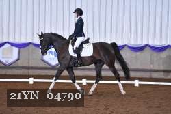 21YN_04790 thumbnail