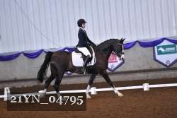 21YN_04795 thumbnail