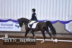 21YN_04800 thumbnail