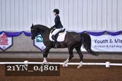 21YN_04801 thumbnail