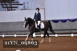 21YN_04803 thumbnail