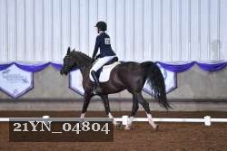 21YN_04804 thumbnail
