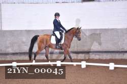 21YN_00045 thumbnail