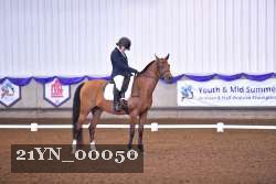 21YN_00050 thumbnail
