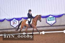 21YN_00089 thumbnail