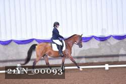 21YN_00093 thumbnail