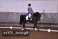 21YN_00248 thumbnail