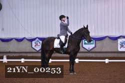 21YN_00253 thumbnail