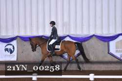 21YN_00258 thumbnail