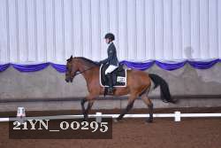 21YN_00295 thumbnail