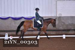 21YN_00303 thumbnail