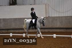 21YN_00336 thumbnail