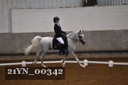 21YN_00342 thumbnail