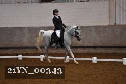 21YN_00343 thumbnail