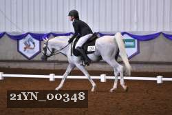 21YN_00348 thumbnail