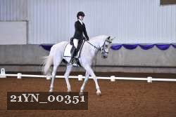 21YN_00351 thumbnail