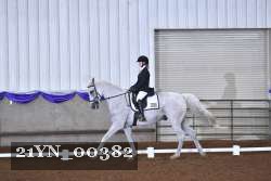 21YN_00382 thumbnail