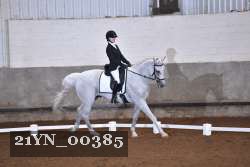 21YN_00385 thumbnail