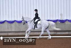 21YN_00387 thumbnail