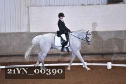21YN_00390 thumbnail