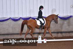 21YN_00401 thumbnail