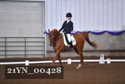 21YN_00428 thumbnail
