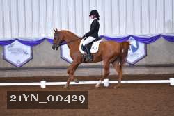 21YN_00429 thumbnail