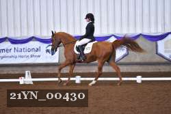 21YN_00430 thumbnail