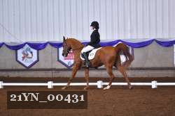 21YN_00431 thumbnail