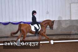 21YN_00432 thumbnail