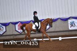 21YN_00435 thumbnail