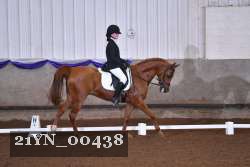 21YN_00438 thumbnail