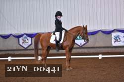 21YN_00441 thumbnail