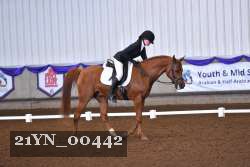 21YN_00442 thumbnail