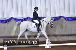 21YN_00443 thumbnail