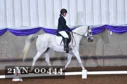 21YN_00444 thumbnail