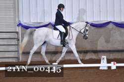 21YN_00445 thumbnail