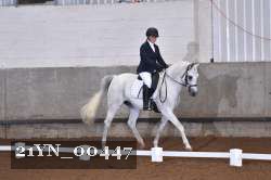 21YN_00447 thumbnail
