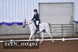 21YN_00461 thumbnail