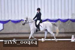 21YN_00464 thumbnail